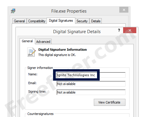 Screenshot of the Ignite Technologies Inc certificate